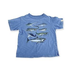 Uniqlo Kids UT Discovery Graphic Sea Creatures T-Shirt - Blue | Boys 5-6 years